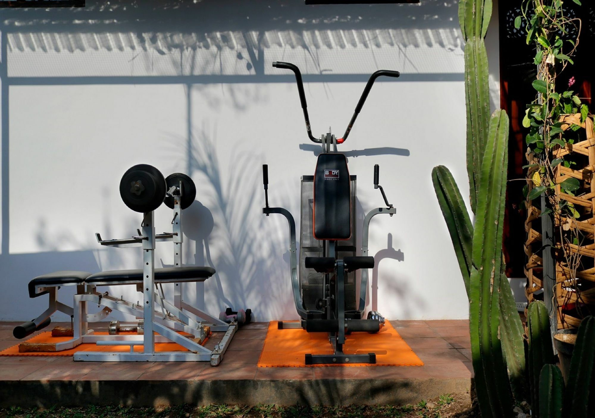 Bali Bee House Hotell Kerobokan Eksteriør bilde